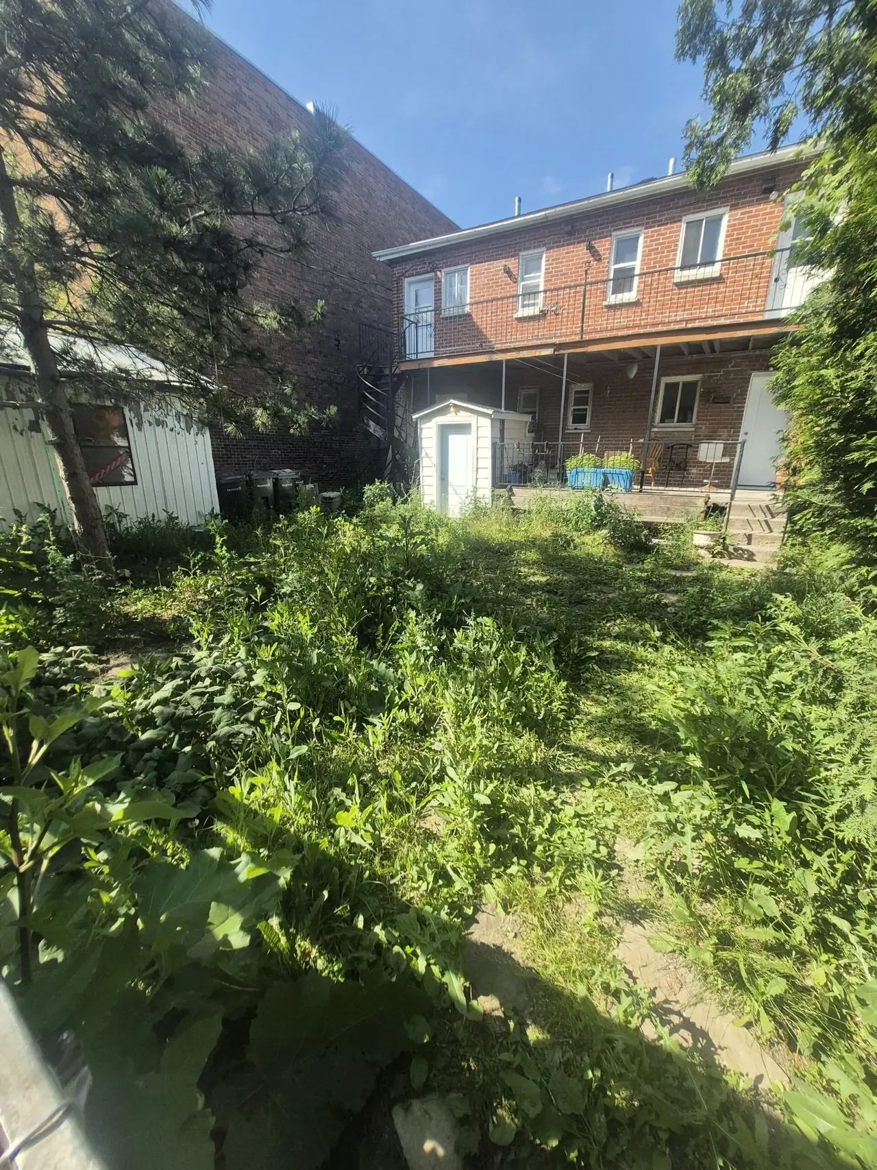 Réalisation de asphalte — vue 33